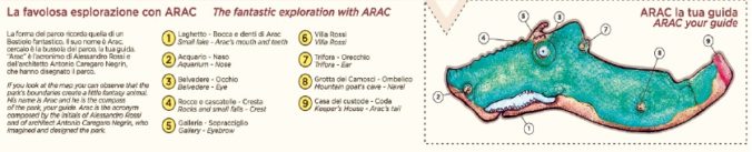 arac6
